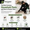 The Most Common Household Pests And How To Prevent Them