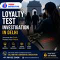 Female Detective For Loyalty Test Investigation