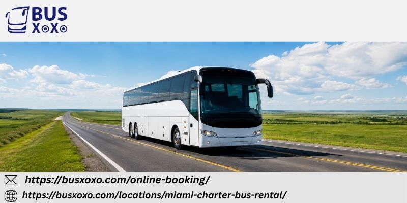 Miami, Travel, Make Every Miami Journey Easy And Enjoyable