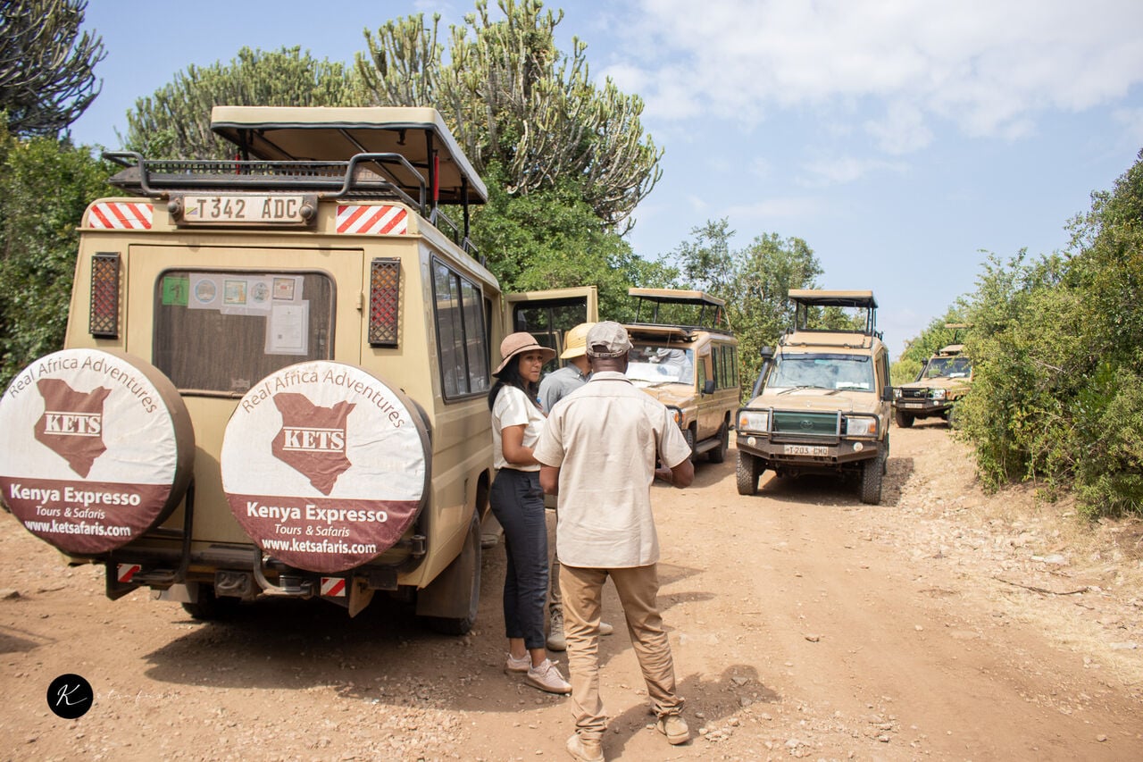 Houston, Travel, Tanzania Safari Packages &ndash; Explore Serengeti, Ngorongoro & Tarangire From $320