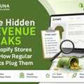 Know About The Hidden Revenue Leaks In Shopify Stores