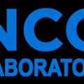 NABL Accredited Acceleration And Speed Calibration Services For Industrial Instruments