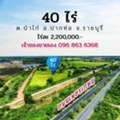 THB 2200000,  6 BR,  16823 Sq. Feet,  Land For Sale Next To Phetkasem Road, Pak Tho District, Ratchaburi Province, Size 42 Rai