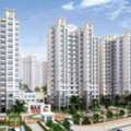 INR 20000000,  Are You Looking To Buy An Apartment In Noida?