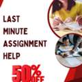 Last Minute Assignment Help Save 50% On Expert Support