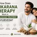 How Does Vajikarana Therapy Work In Venous Leakage Treatment In Ayurveda?