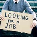 Looking For A Driver Job