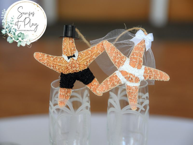 New York, Photography, Wedding Photography Service In Key West For Couples