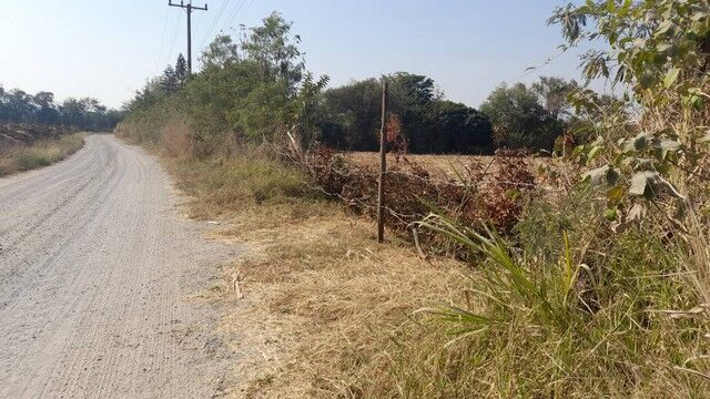 Bangkok, Real Estate For Sale, THB 2900000,  6 BR,  3600 Sq. Feet,  Land For Sale In Pak Chong 356 Meters Above Sea Level, Title Deed In Korat, Divided Into