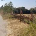 THB 2900000,  6 BR,  3600 Sq. Feet,  Land For Sale In Pak Chong 356 Meters Above Sea Level, Title Deed In Korat, Divided Into