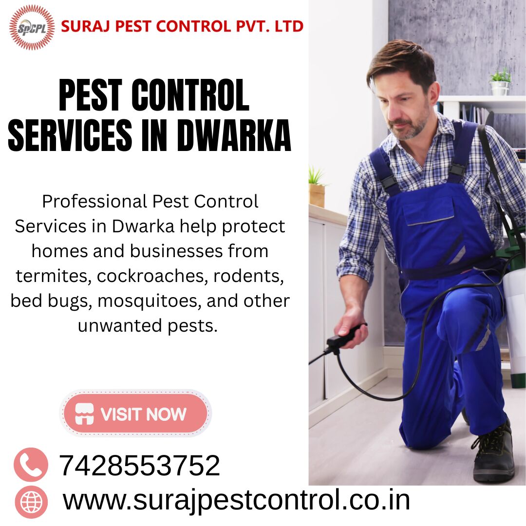 Dwarka, Pest Control, Professional Pest Control Services In Dwarka &ndash; Safe & Effective Solutions