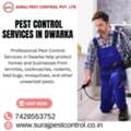 Professional Pest Control Services In Dwarka &ndash; Safe & Effective Solutions