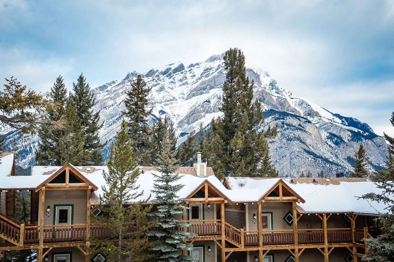 Toronto, Restaurants, Looking For A Banff Hotel With Mountain Charm? Stay At Buffalo Mountain Lodge
