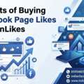 Benefits Of Buying Facebook Page Likes - IndianLikes