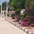 INR 21000,  466 Sq. Yard,  HMDA&RERA FINAL APPROVED Open Plots For Sale @Maheshwaram