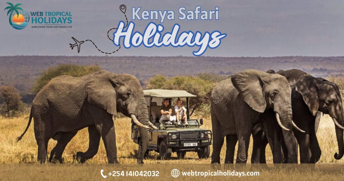 Nairobi, Travel, Kenya Safari Holidays | Scenic Fly-In Safari Packages