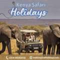 Kenya Safari Holidays | Scenic Fly-In Safari Packages