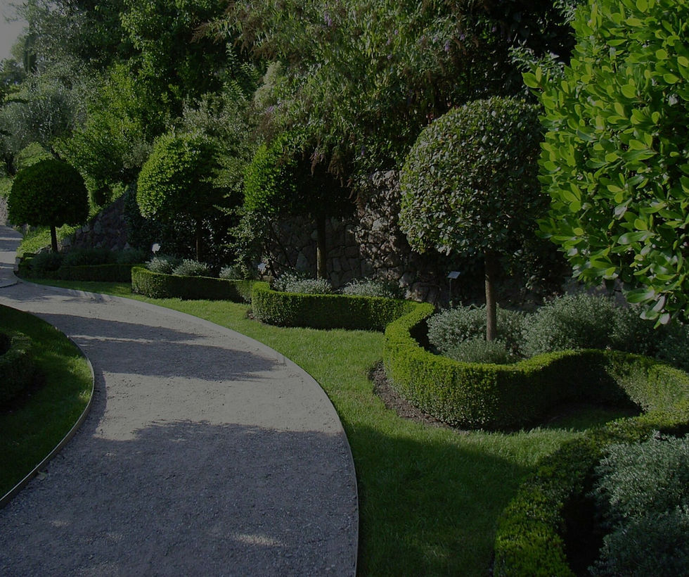 Brisbane, Cleaning, Commercial Garden Maintenance Brisbane