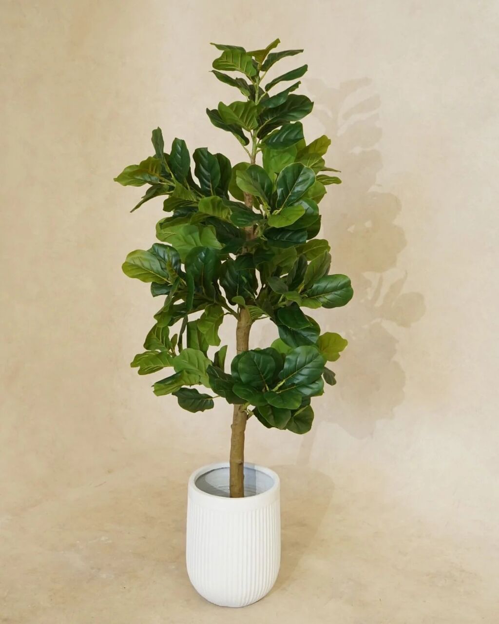 Sydney, Business, Faux Plants Indoor