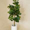 Faux Plants Indoor