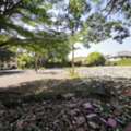 THB 28958000,  6 BR,  442 Sq. Feet,  Empty Land For Sale, Chang Khlan Road, Chang Khlan Subdistrict, Mueang Chiang Mai