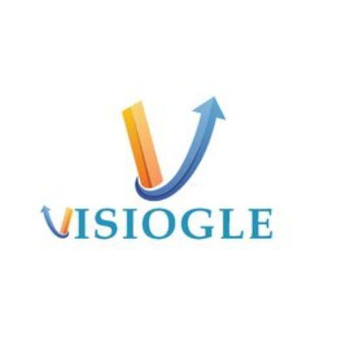 New Delhi, Technical, Choose Visiogle As Your Reliable Website Development Company