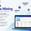 Web Data Mining Services | Accurate & Scalable Data Extraction Solutions