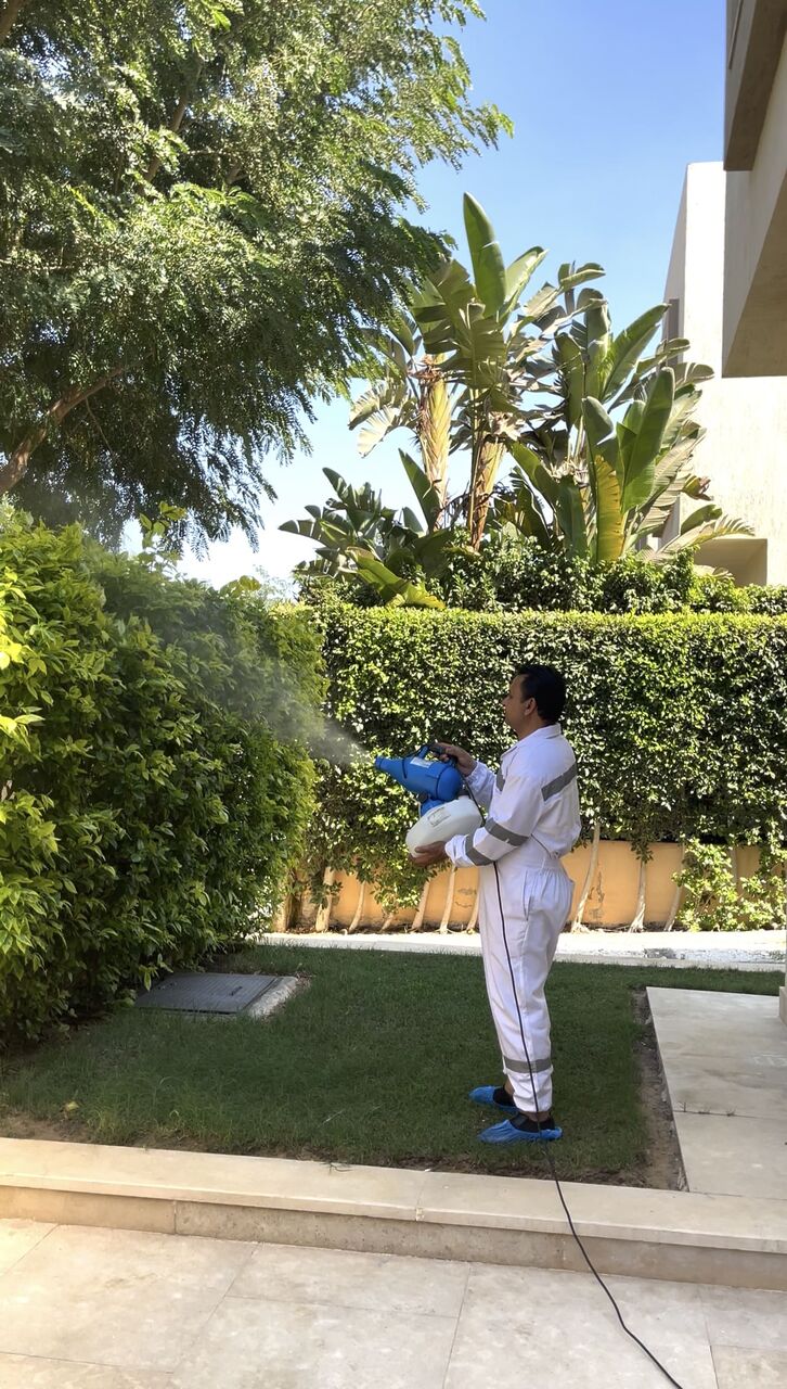 Nasr City, Pest Control, الشركة الالمانية لمكافحة الحشرات | مصداقي