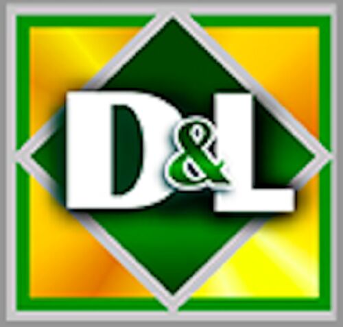 New York, Financial, D&L Insurance Inc