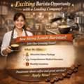 Barista (Female Only)
