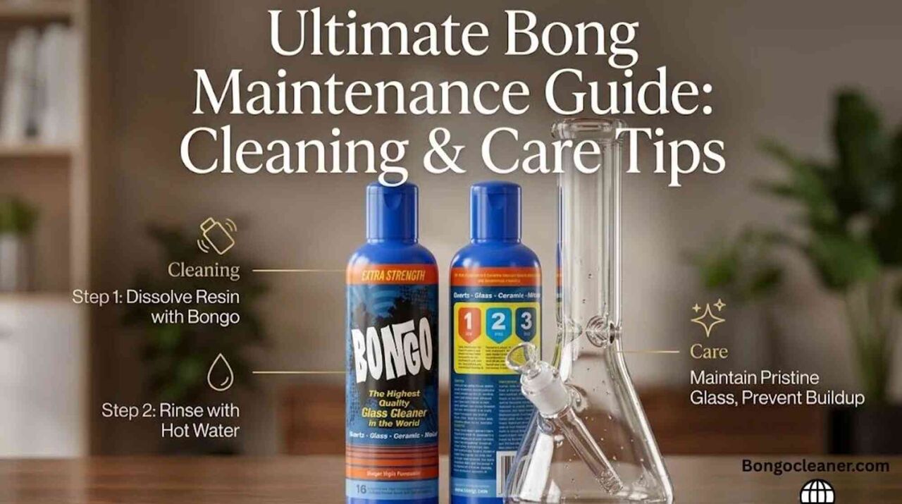 New York, Free Items, Ultimate Bong Maintenance Guide: Cleaning & Care Tips.