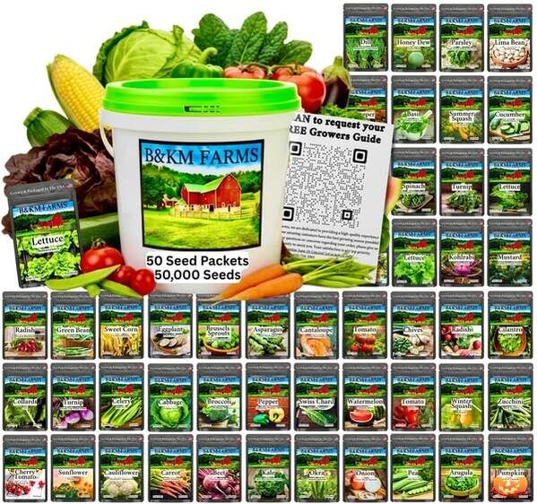 New York, Business, Seed Vault Kit Heirloom Seeds | Vegetable Seeds Variety Pack