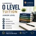 Junior O Level Tuition | English &bull; Maths &bull; Business &bull; Economics &bull; Accounts