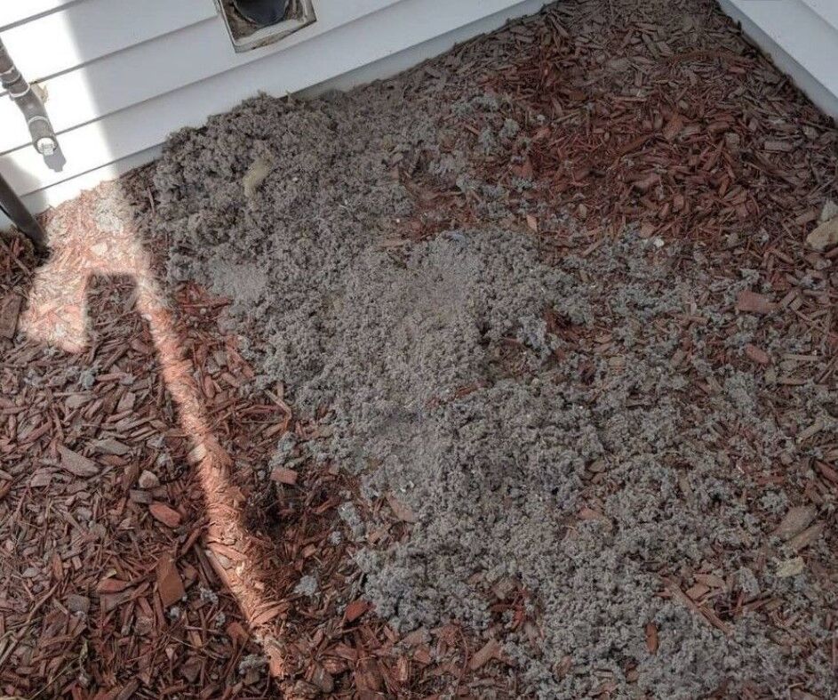New York, Cleaning, Wisconsin Natural Air Duct Cleaning De Pere