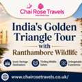 India's Golden Triangle Tour With Ranthambore Wildlife