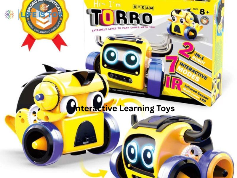 New York, Business, Looking For The Best Interactive Learning Toys?