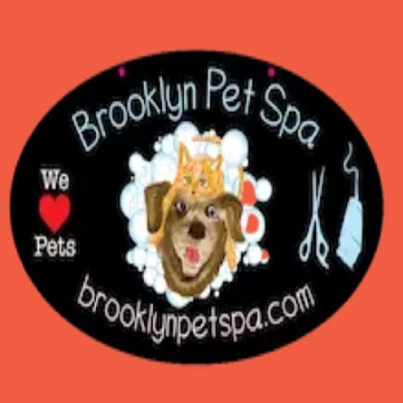 New York, Business, Brooklyn Pet Spa