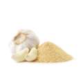 Garlic Powder Suppliers In Sweden | Bulk Suppliers & Exporters