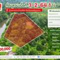 THB 2200000,  6 BR,  1464 Sq. Feet,  Fruit Orchard Along Ban Tan Canal, Area 3 - 2 - 64.1 Rai, Suitable For Agricultural