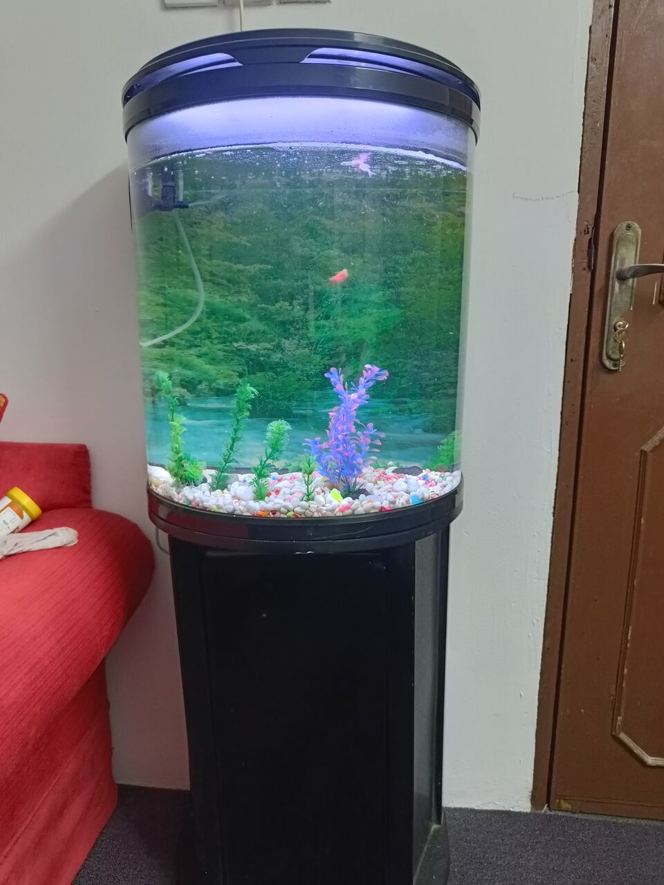 Manama, Appliances, BHD 50,  Aquarium
