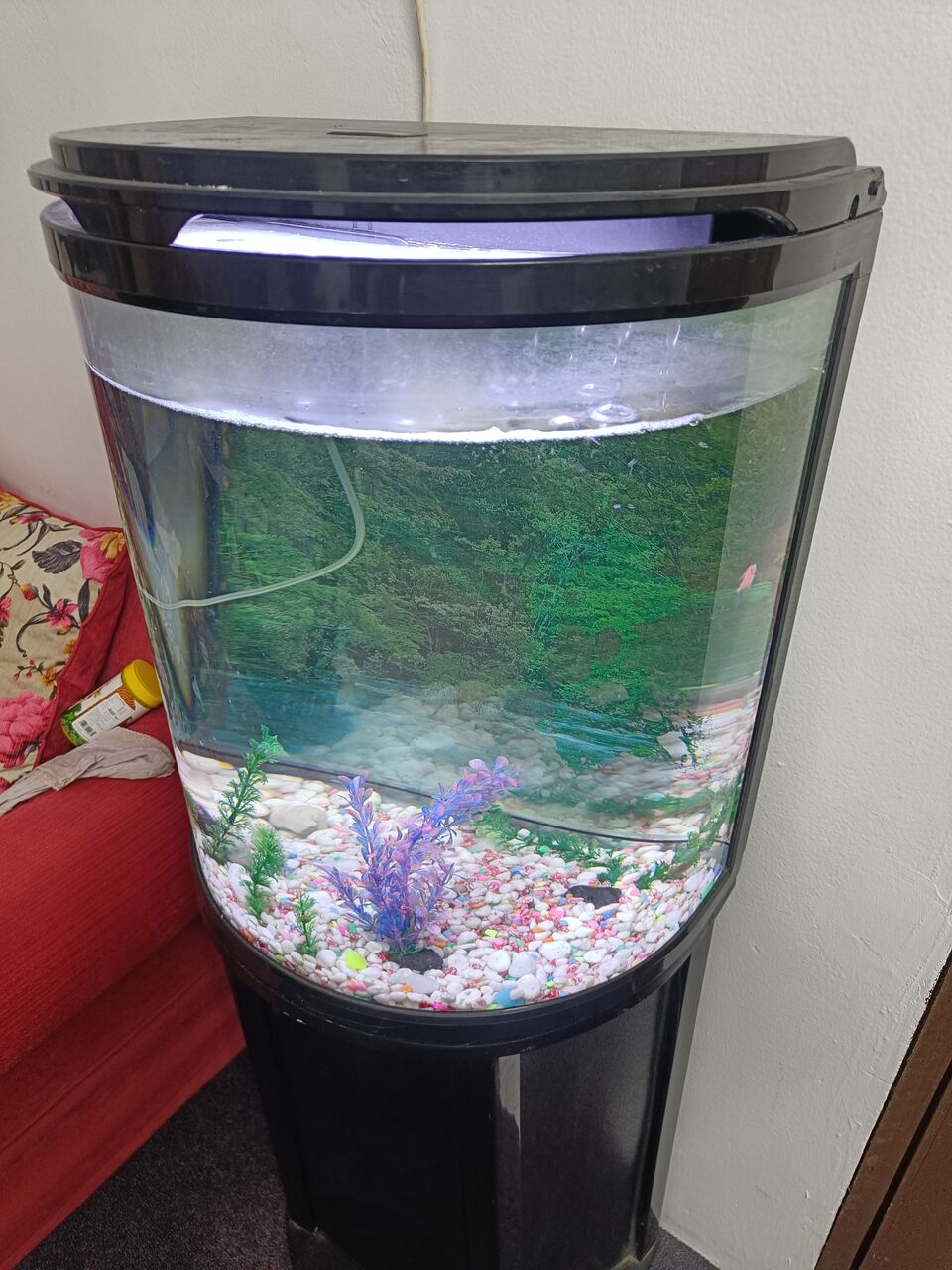 Manama, Appliances, BHD 50,  Aquarium