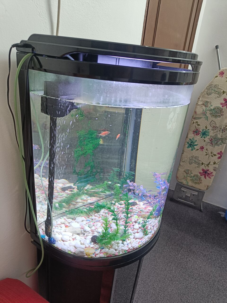 Manama, Appliances, BHD 50,  Aquarium