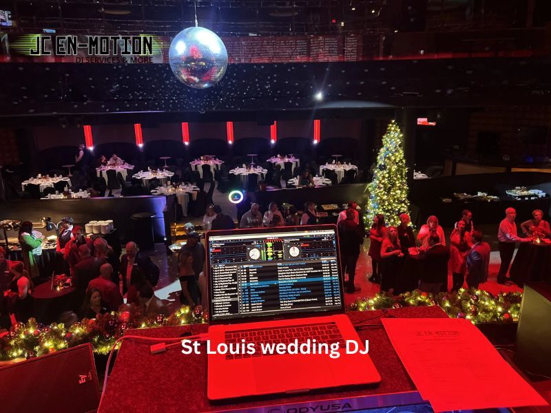 New York, Business, Hire Professional St Louis Wedding DJ Services