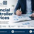 Professional Financial Controller Services For Financial Clarity