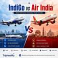 IndiGo Vs Air India: Which Is Best For Domestic Travel? | Tripnestify