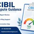 Need Reliable CIBIL Dispute Guidance For Credit Errors?