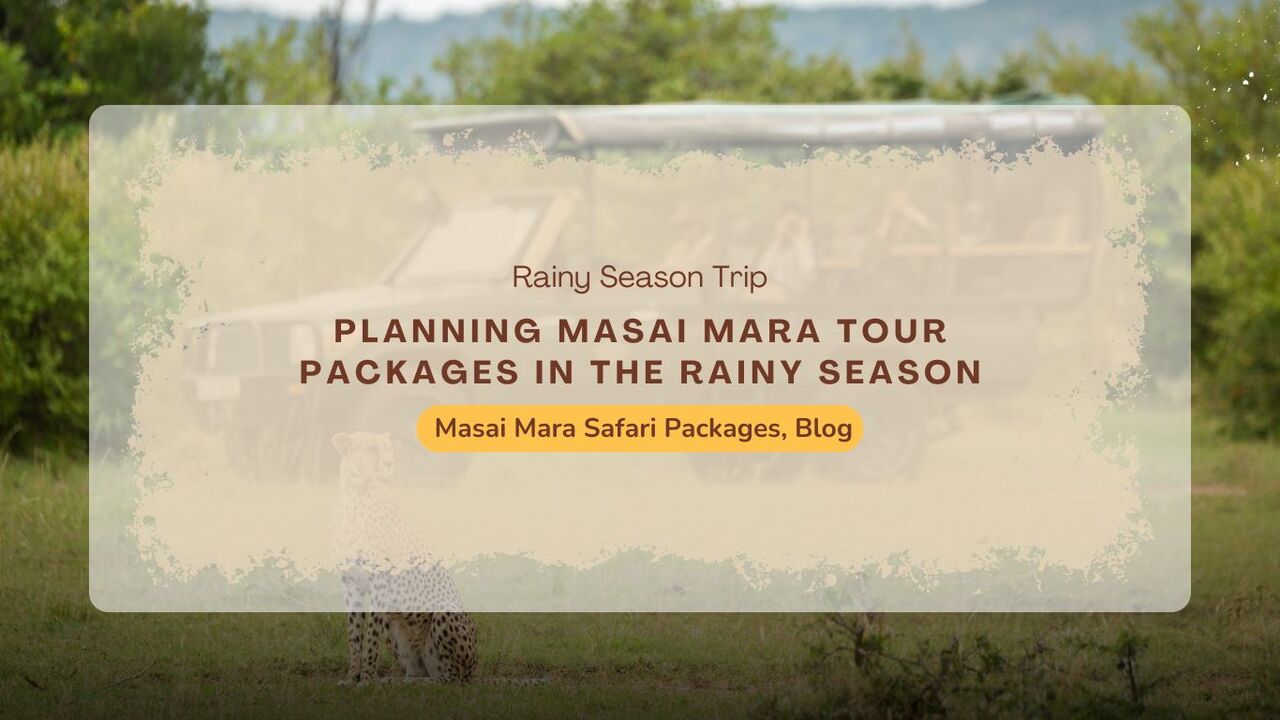 Cape Town, Travel, Book A Wildlife Photography Safari Kenya Adventure