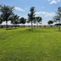Professional Lawn Service Lubbock For Beautiful Lawns