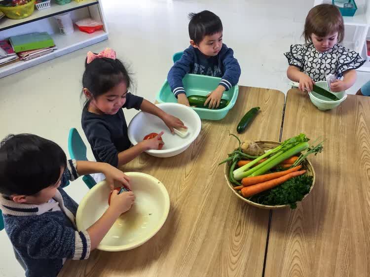 New York, Business, Private Preschool In Edmonton | Early Learning Excellence