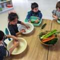 Private Preschool In Edmonton | Early Learning Excellence